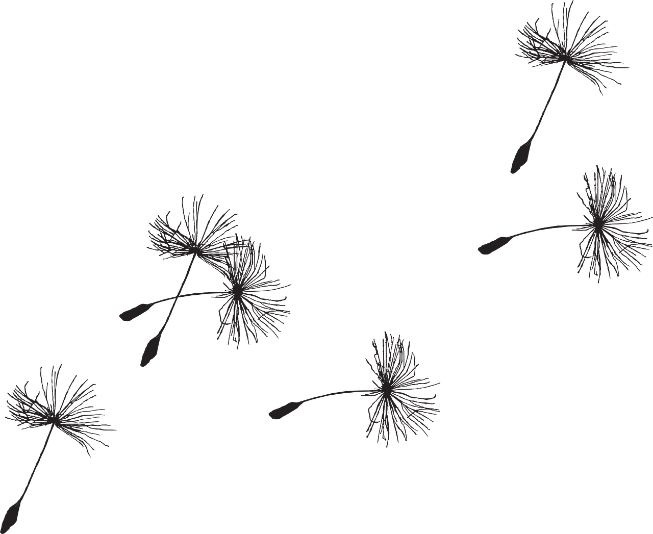 pistil